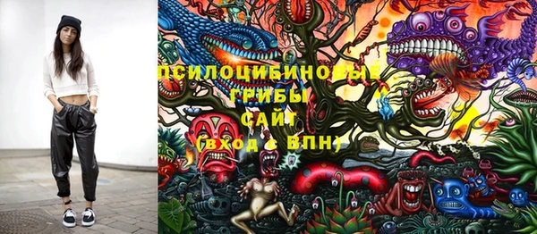 гашик Остров