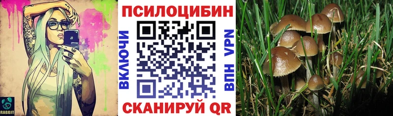 Псилоцибиновые грибы ЛСД  мега tor  Сольцы 